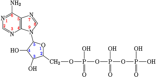 Adenozin-trifoszfát.svg