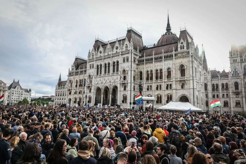 Fájl:Tünti250518.jpg